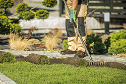 Landscapers
